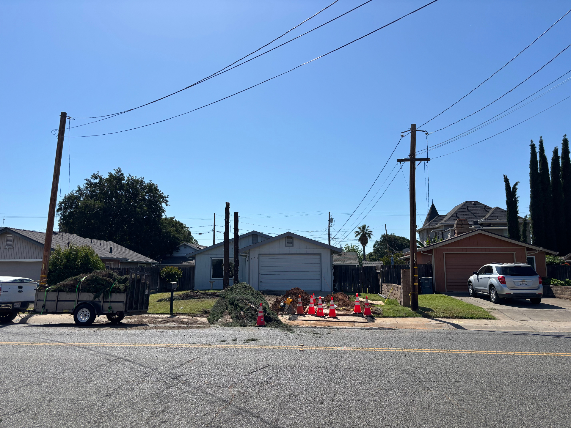 Italian Cypress Removal — after